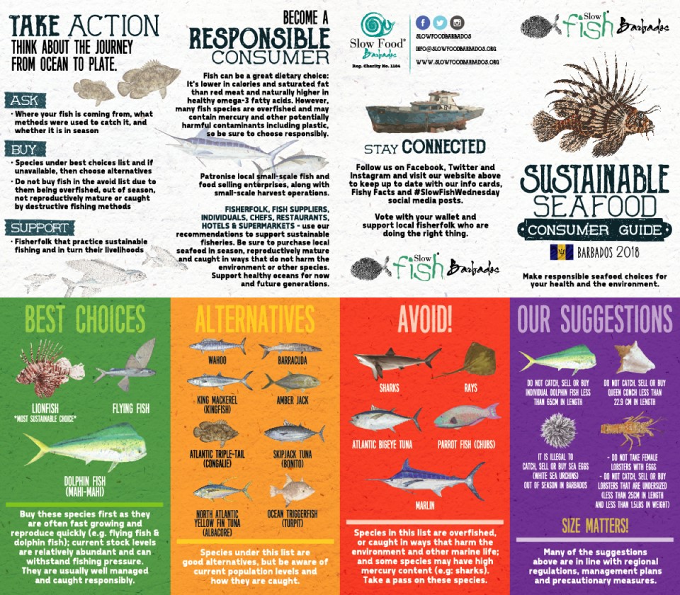 environmentally friendly Barbados holiday sustainable fish chart