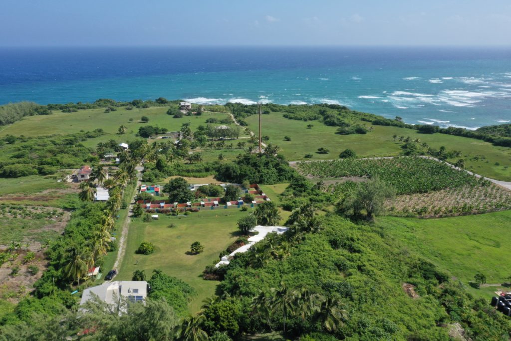 acres of green and the ocean and animal sanctuary